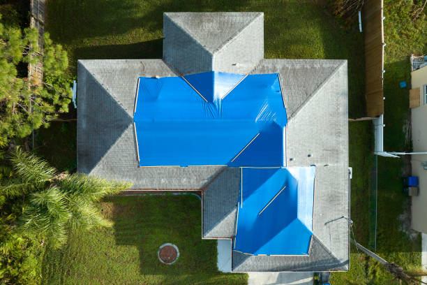 Best Roof Maintenance and Cleaning  in Twain Harte, CA