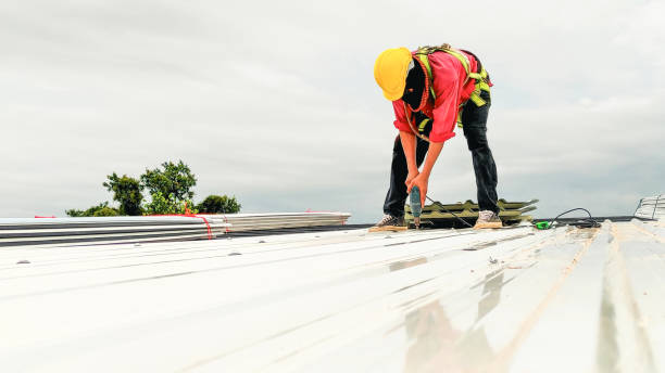 Best Roof Insulation Installation  in Twain Harte, CA