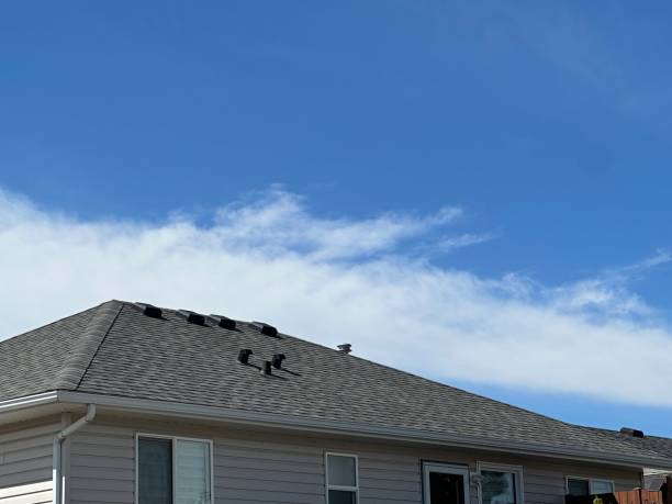 Best Skylight Installation and Repair  in Twain Harte, CA